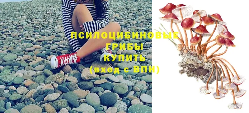 Галлюциногенные грибы Magic Shrooms  Видное 